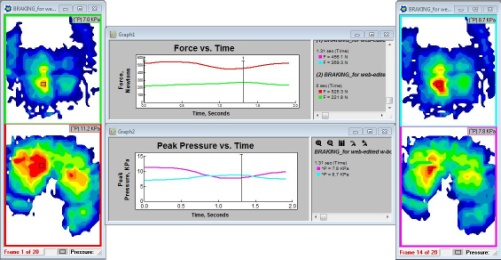 FORCE MAPPING分析软件