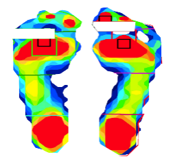 ForceMapping分析软件